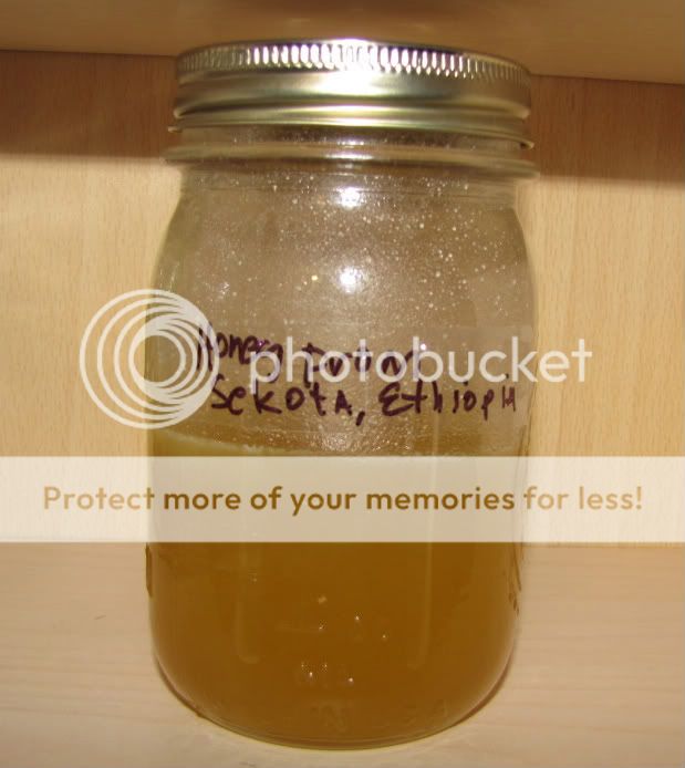 EthiopianHoney.jpg Ethiopian Honey picture by allen1844