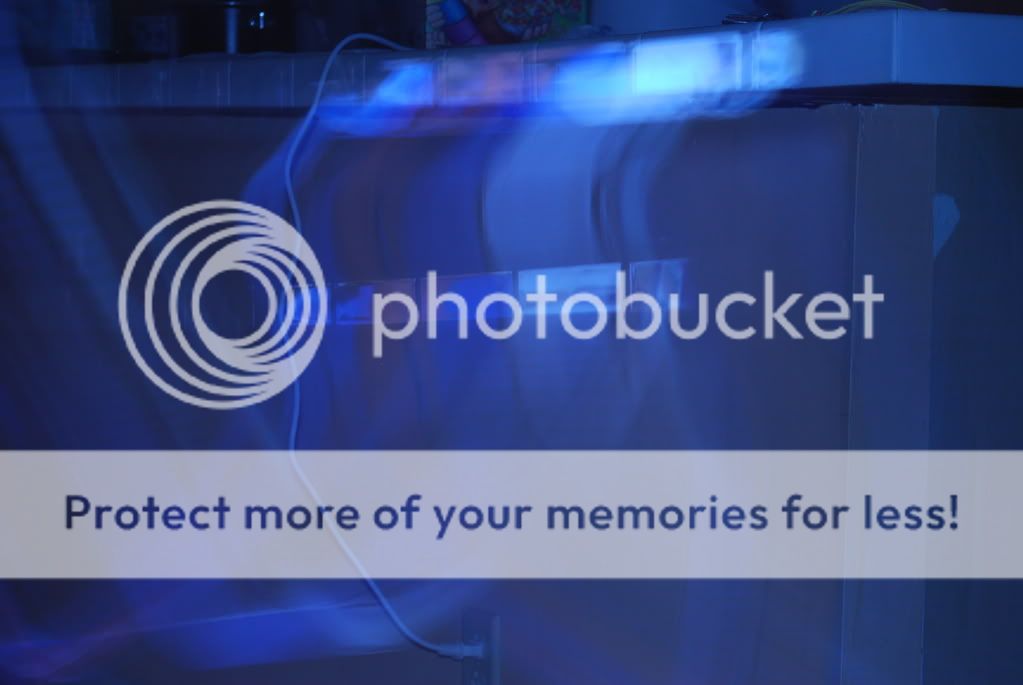 Camera: Nikon D60 Lens: nikon d60 lens. Camera: Nikon D60 Lens: