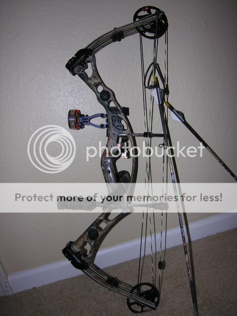 WTS Hoyt Katera XT Forums