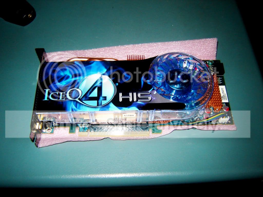 DSC00462.jpg